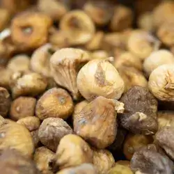 Dried Fig