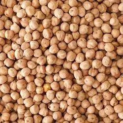 Mexican Chickpeas