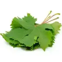 0.5 kg Grape Leaves