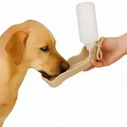 Water Bottle 500ml