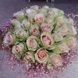 The Bride's Flower