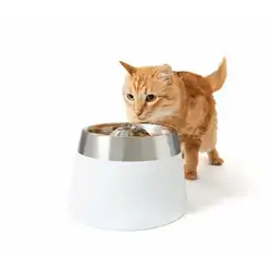 Water Fountain