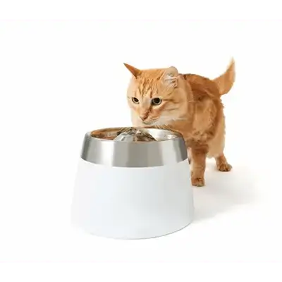 Water Fountain