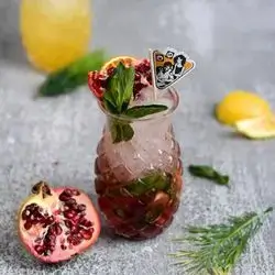 Pomegranate Mojito