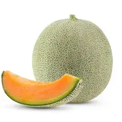 Melon