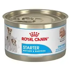 Royal Canin Mother and Baby Dog Starter 195g