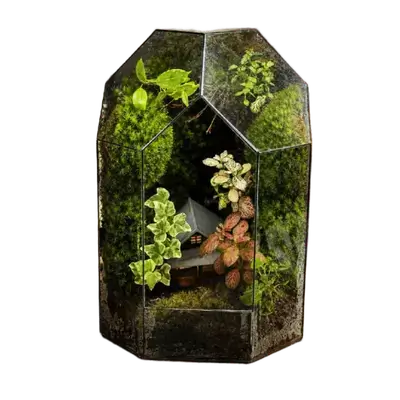 Glow House Terrarium