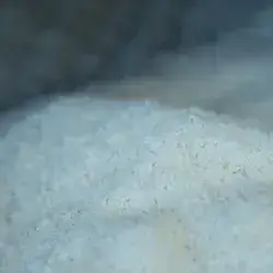 Coconut Crushed