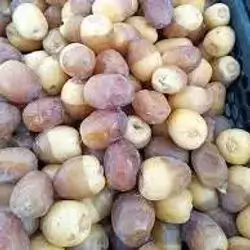 Barhe Dates