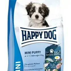 happy dog mini puppy
