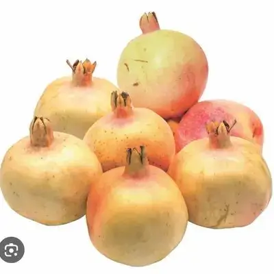 هەناری یەمەنی