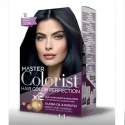 MASTER colorist HAIR COLOR PERFECTION#1.1