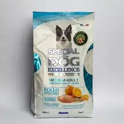 Special Dog - Medium Adult Chicken