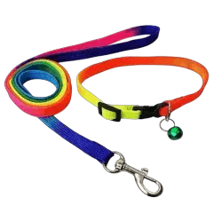 Collar