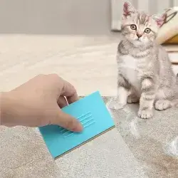 Hair Remover Brush