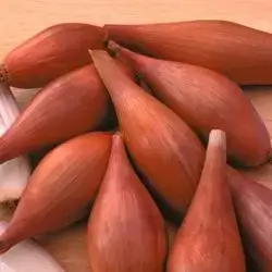 Long Dolma Onion