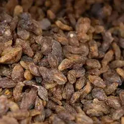 Raisins
