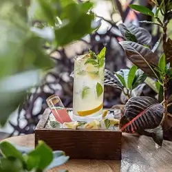 Mojito Bubble Gum