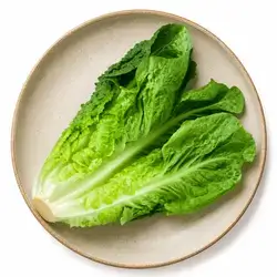 Turkish Lettuce