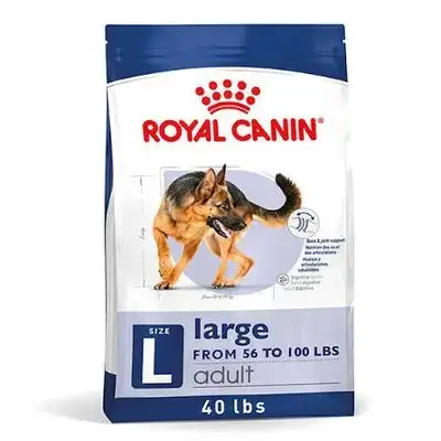 Royal Canine adult maxi L size 4kg