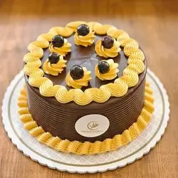Chocolate Cake Size 2