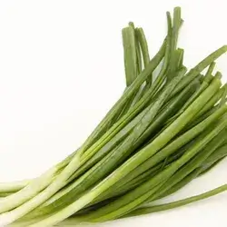 Spring Onion