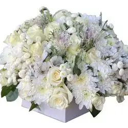 Rose With Accessors Box 
