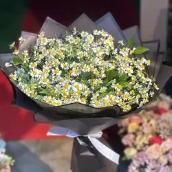 Flower bouqet chamomile