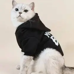 Hoodie L 