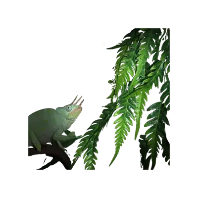 E905 Hanging Artificial Plants