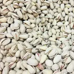 American Pistachio