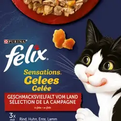 FELIX Variety of flavors x12