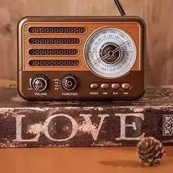 The Raiseng R-137BT Portable Retro Radio & Bluetooth Speaker