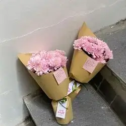 Two Bouquets
