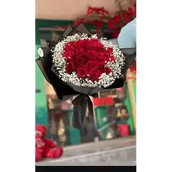 20 Rose