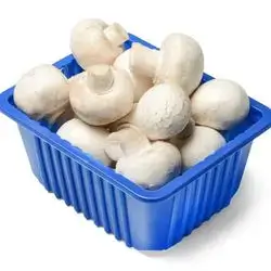 Mushroom