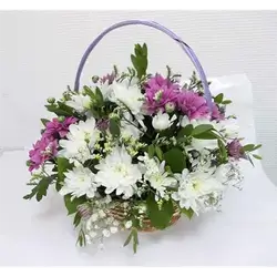 Basket Flower