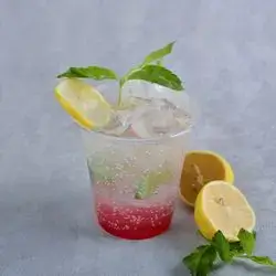 Blueberry Mojito