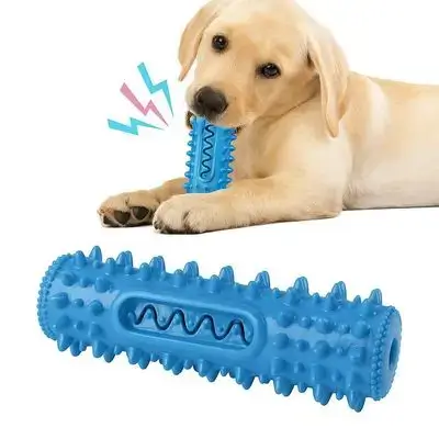 Dog Chew Toy