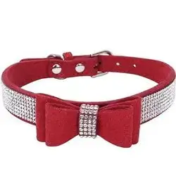 Collar XS