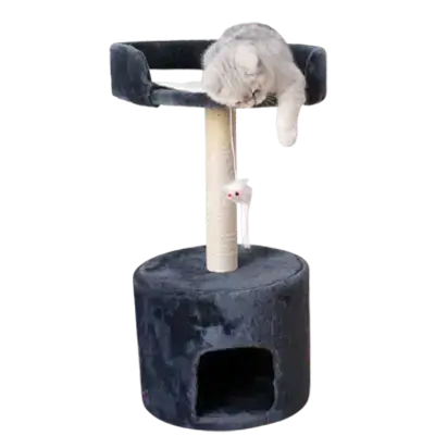 E655 Cat Scratcheing tree