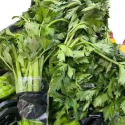 Iranian Celery