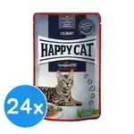 Happy Cat Bavarian Beef 24x