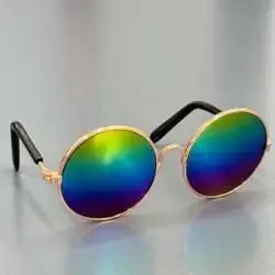 Pet Glasses M