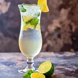 Lemon Mint Mojito