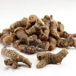 Galangal