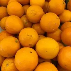 Turkish Orange