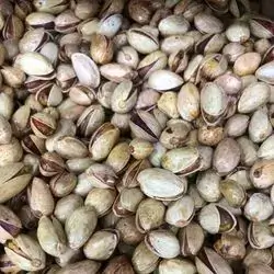 فستەقی ترش