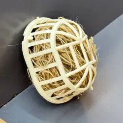 Bird Nesting material 