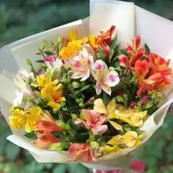 Flower Bouquet